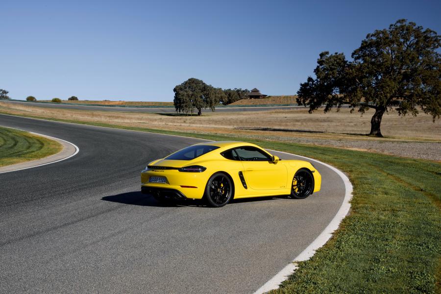  Porsche 718 Cayman GTS (982C) 2017 года  (WW) (фото 39 из 62)